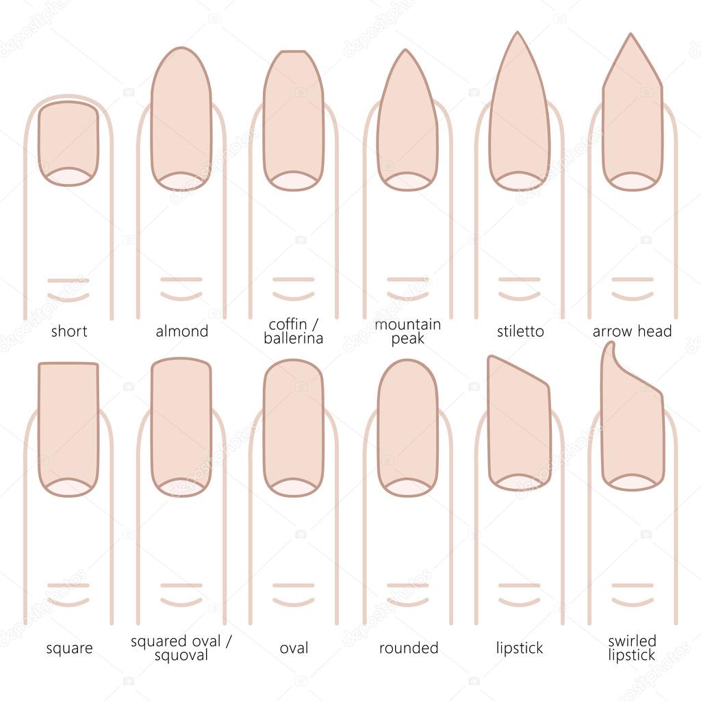 Types Of Nail Shapes Stock Vector C Lazuin Gmail Com 110309184