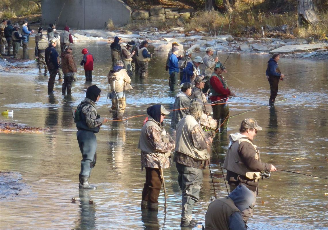 Where To Catch Steelhead Trout Without The Crowds In Pa Pittsburgh Post Gazette