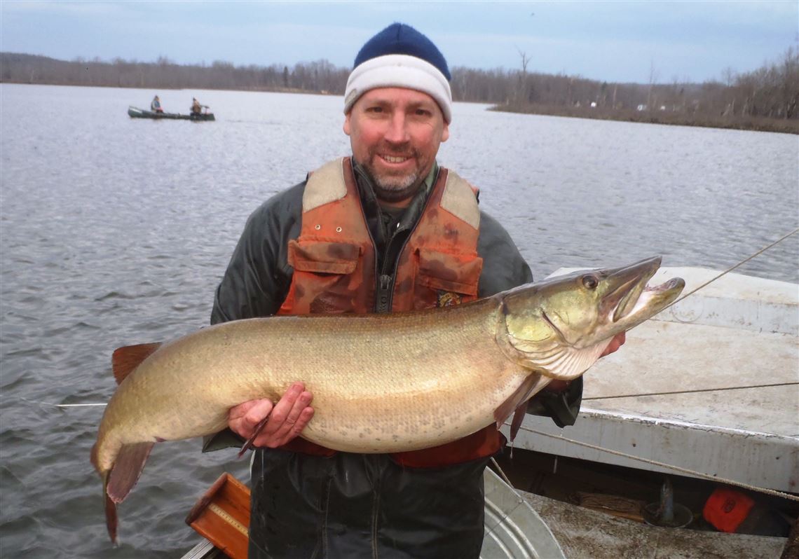 Pennsylvania Is On A Mission To Build Bigger Muskies Pittsburgh Post Gazette